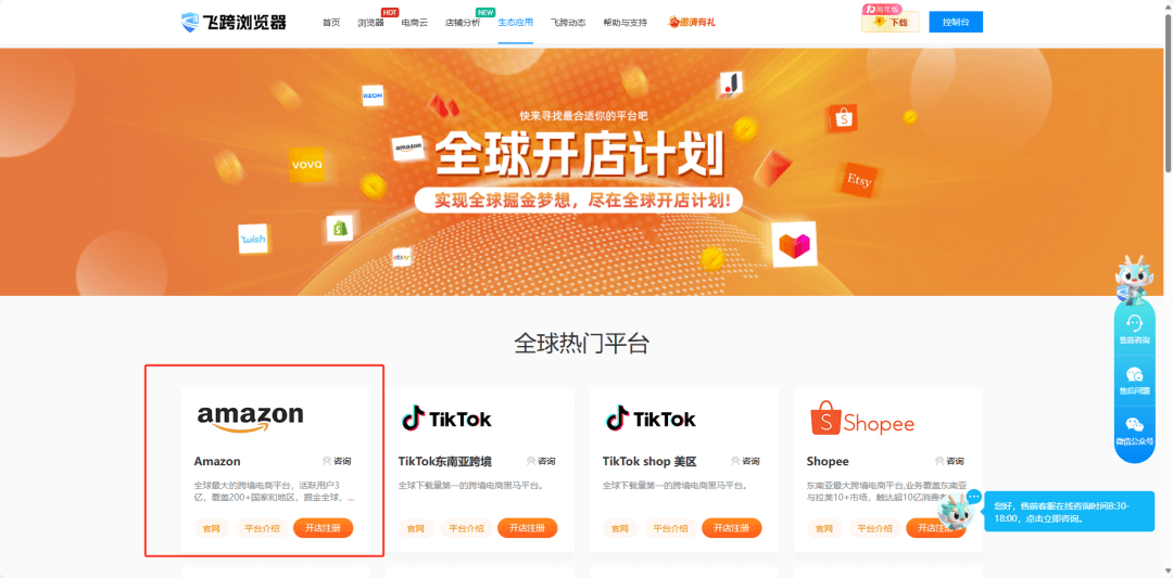 亚马逊2